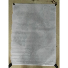 Fake British passport